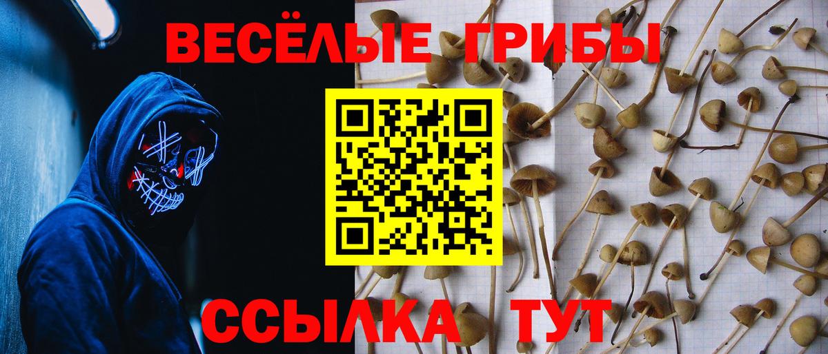 Саяногорск  Галлюциногенные грибы прущие грибы  Галлюциногенные грибы ЛСД  Вход с VPN 